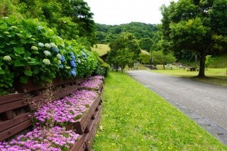 森林公園　とっとり出合いの森