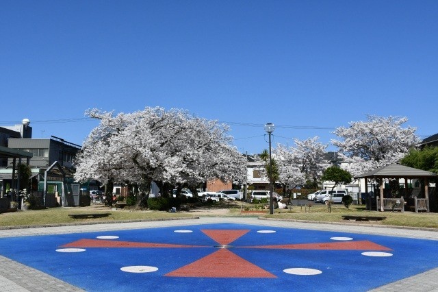 真教寺公園