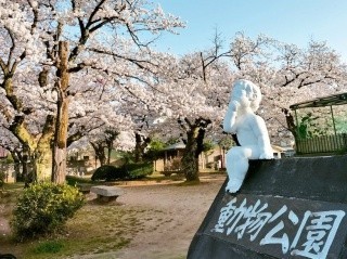 真教寺公園