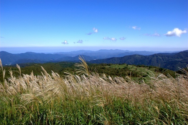 上山高原エコミュージアム