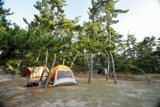 松の庭キャンプ場