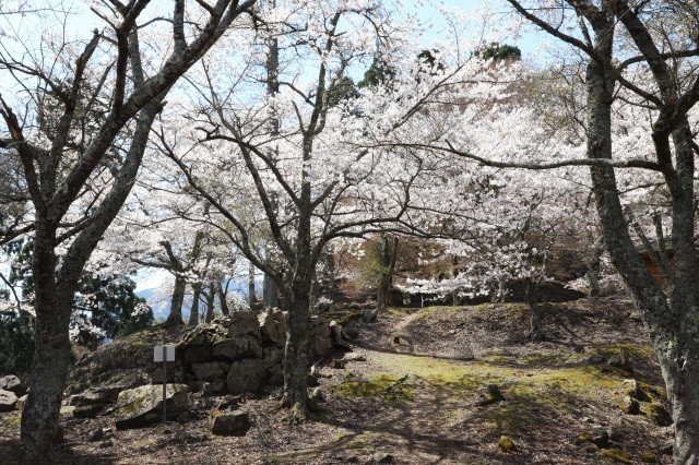 若桜鬼ヶ城