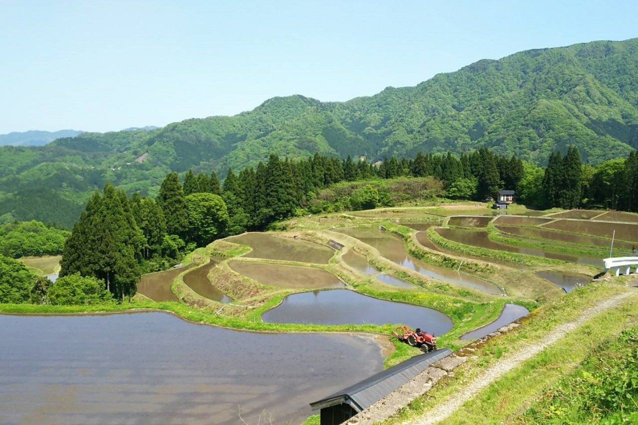 うへ山の棚田 観光スポット 鳥取市観光サイト 公式 鳥取市のおすすめ観光 旅行情報