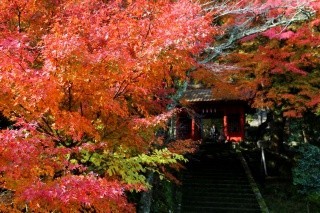 若桜神社