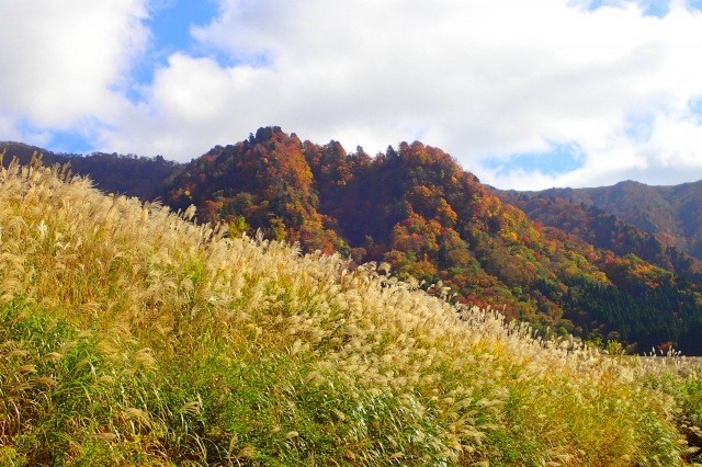 氷ノ山