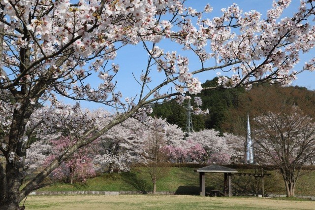 中之島公園