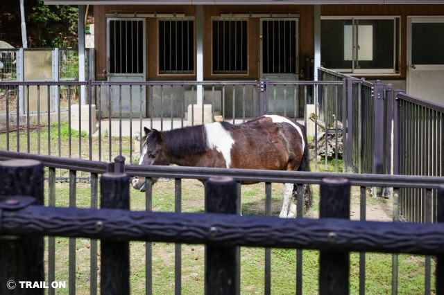 樗谿公園