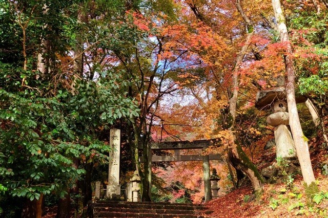 諏訪神社