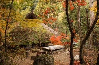 みたき園