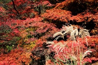 清徳寺