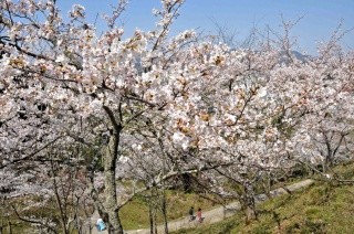 天満山公園