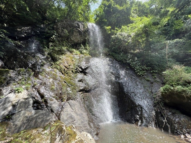 一番近くから撮影（８月上旬）