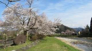 八上姫公園