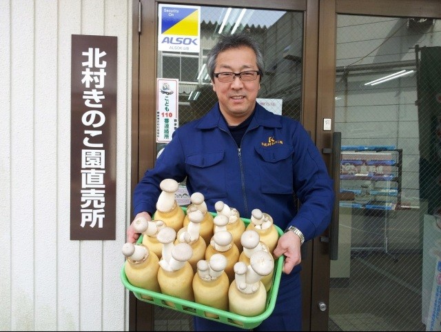 北村きのこ園　工場見学