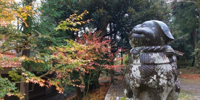 珍しい狆（ちん）の顔をした川六作の狛犬（鷲峯神社）