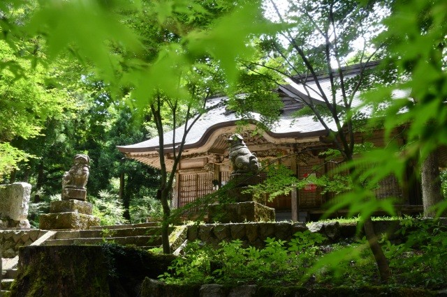 地元ガイドの案内で鷲峯神社参拝