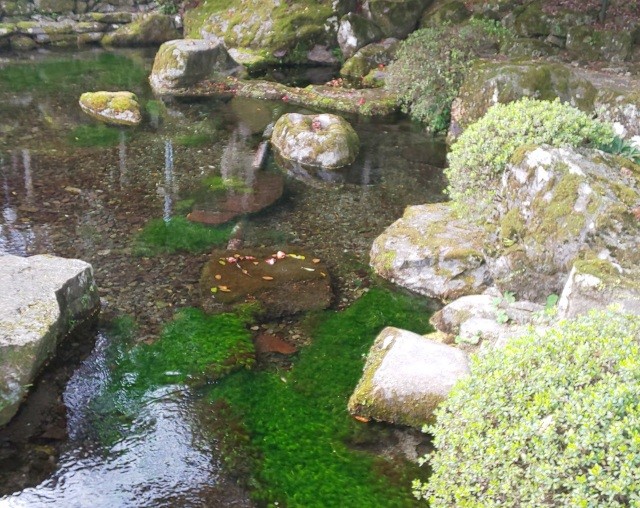 布勢の清水では名水で淹れたコーヒーでおもてなし