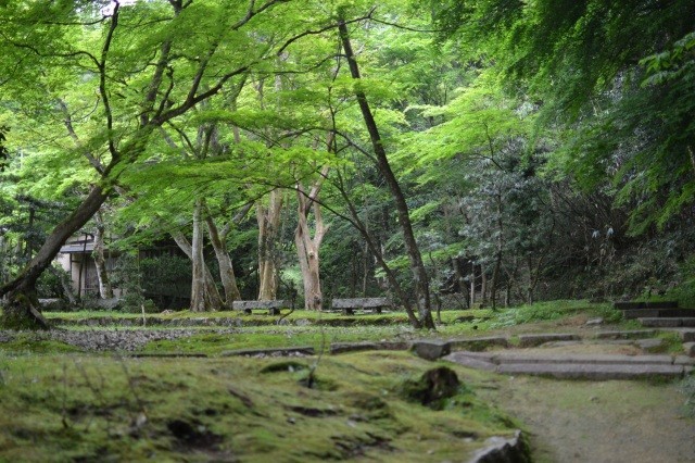 宗鏡寺庭園（新緑）