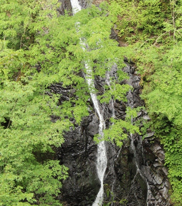 味土野ガラシャ大滝