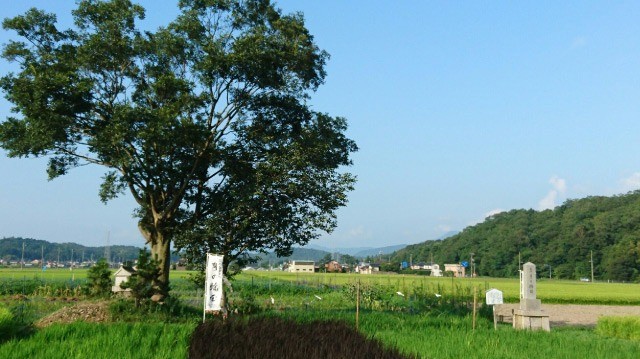 日本の稲作発祥地「月の輪田」