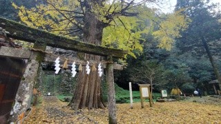 子守神社