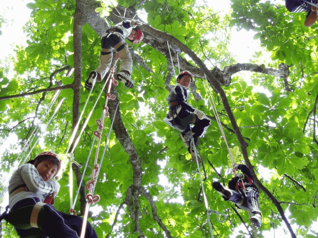 美方高原自然の家　とちのき村