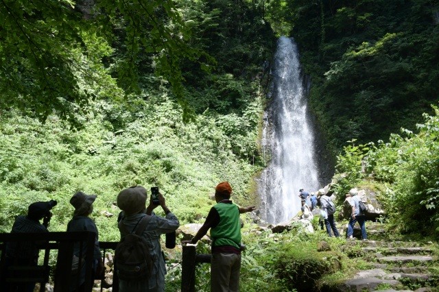 雨滝