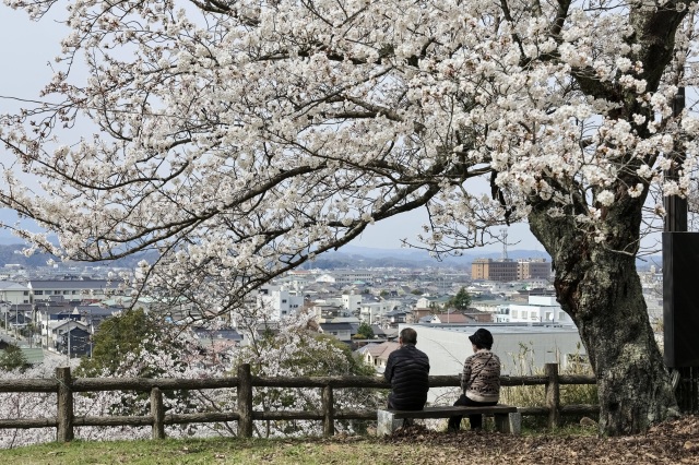 2024年4月4日撮影