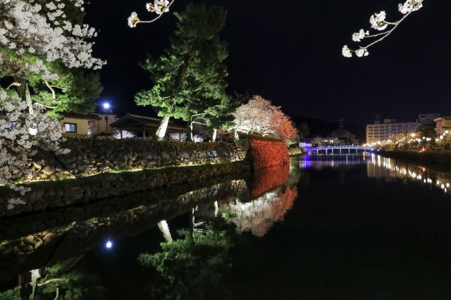 2025年4月5日撮影