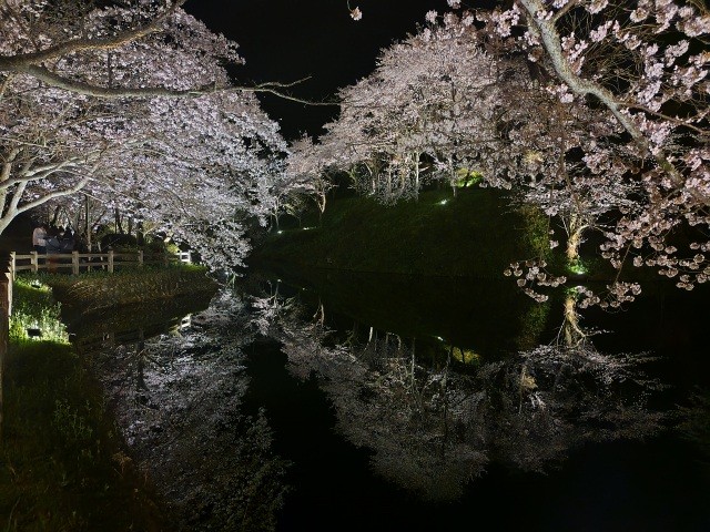 鹿野桜まつり
