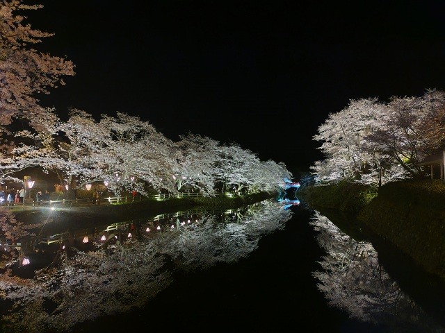 鹿野桜まつり