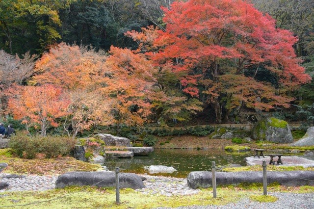 樗谿の名庭「啐啄園」特別公開