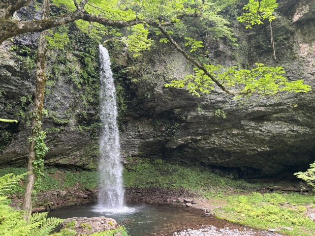 大鹿滝