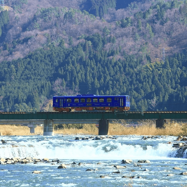wakasa