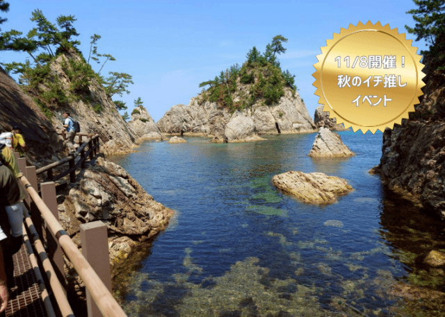 ☆11/8(土)限定☆陸と海の両方から浦富海岸を満喫できる 「遊覧…