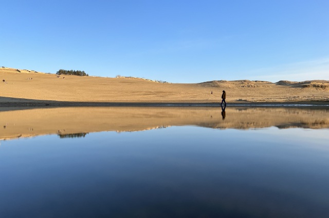 鳥取砂丘 オアシス（尻無川）