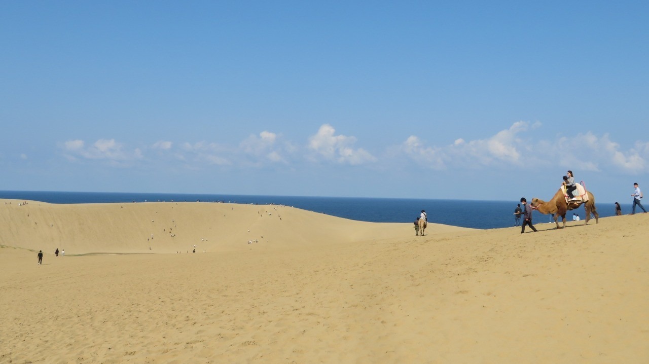 Tottori Sand Dunes